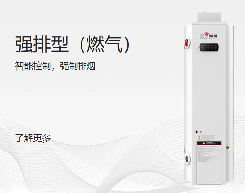 強(qiáng)排型（燃?xì)猓?/></a>
            <h3><a href=
